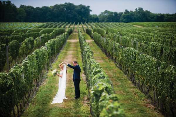 Vineyard Fairytale