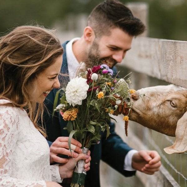 wedding in maine