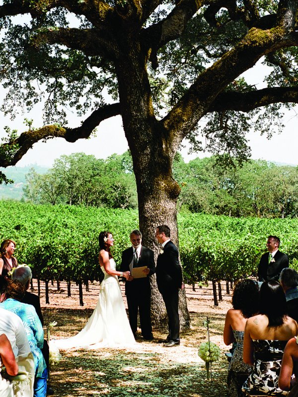 Fine Vines: Julie & Marc in Sonoma Valley, CA