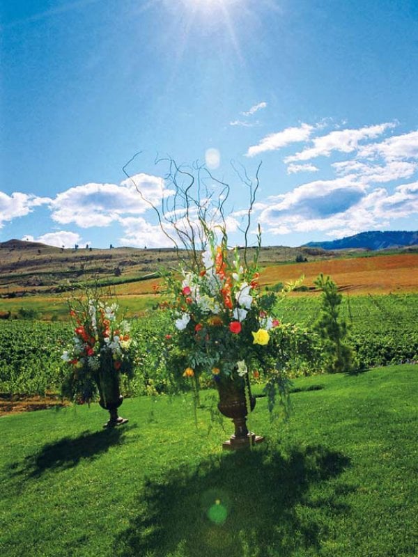 Vineyard Vows: Sarah & Chris in Lake Chelan, WA