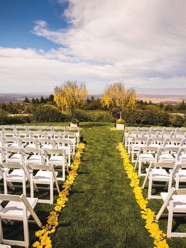 Field Day: Betty & Andrew in Woodside, CA