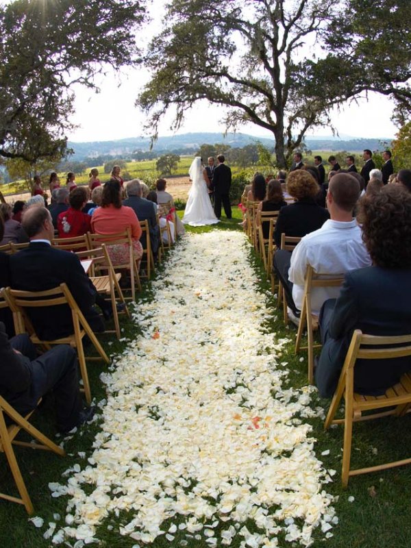 A Sonoma Celebration: Ann & Jarrod in Glen Ellen, CA