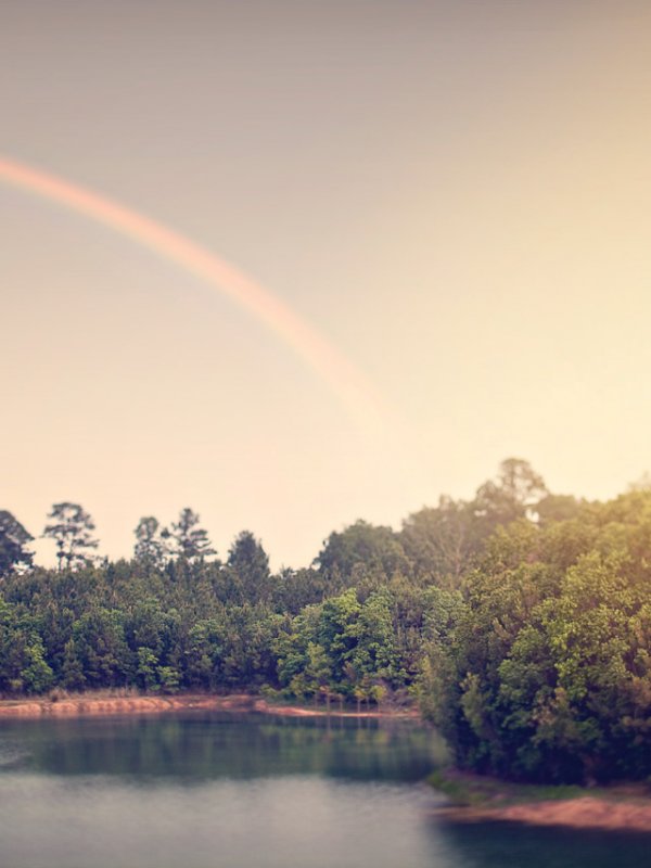 Over The Rainbow: Jenn & Matt In Shreveport, LA