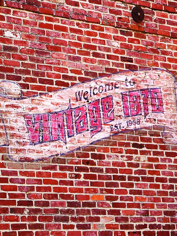 Vintage Style: Alex & Rich in Napa Valley, CA