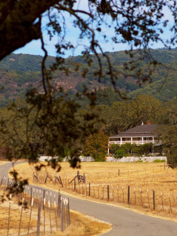 A Sonoma Celebration: Ann & Jarrod in Glen Ellen, CA