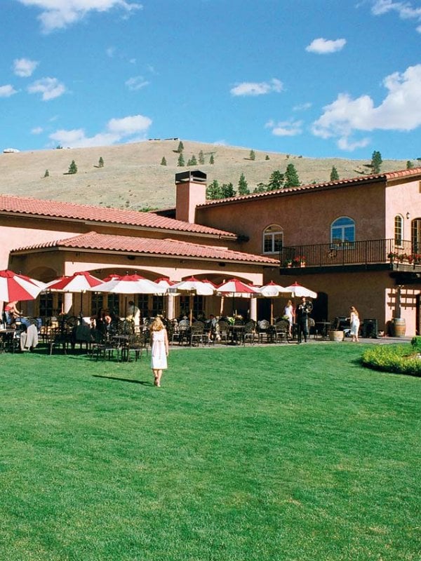 Vineyard Vows: Sarah & Chris in Lake Chelan, WA