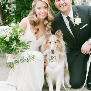 dogs in weddings