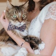 cat and bride