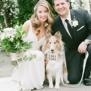 dogs in weddings