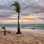 hurricane maria caribbean