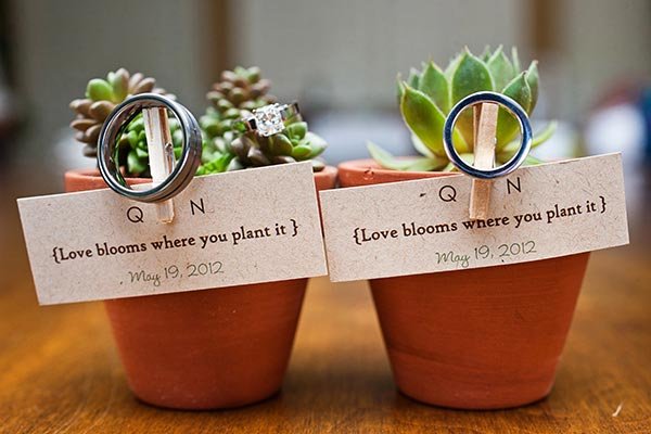A couple of succulent plants in small terracotta pots with love-themed tags and wedding rings.