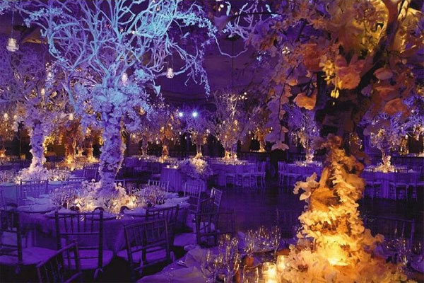 Elegant fairy tale wedding reception with illuminated trees and floral decor.
