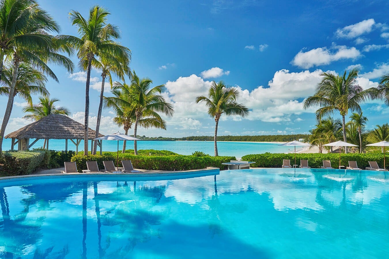 Relaxing poolside scene with palm trees and ocean view at a tropical resort.