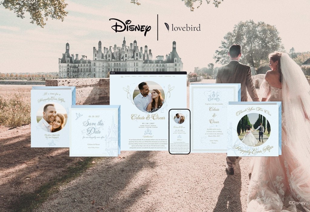 Disney and Lovebird wedding invitation suite with castle backdrop and bride and groom.